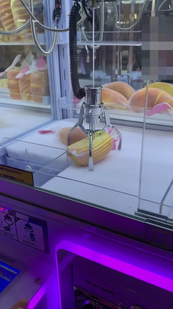 トレジャーランド東金店のクレーンゲーム台の写真（クレーンゲーム店舗）
