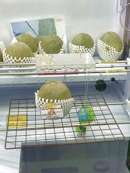 千葉鑑定団酒々井店のクレーンゲーム台の写真（クレーンゲーム店舗）